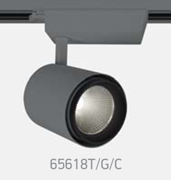 65618T/G/C